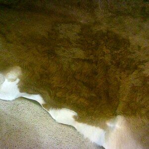Cow Hide Rug.6X5 Feet...Never used